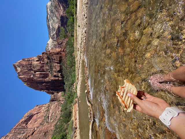 zion river