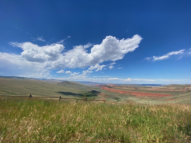 grassland